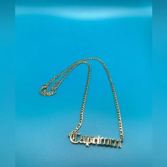 ⭐️🌙Capricorn Zodiac Nameplate on 14k Gold plated Figaro Chain⭐️🌙